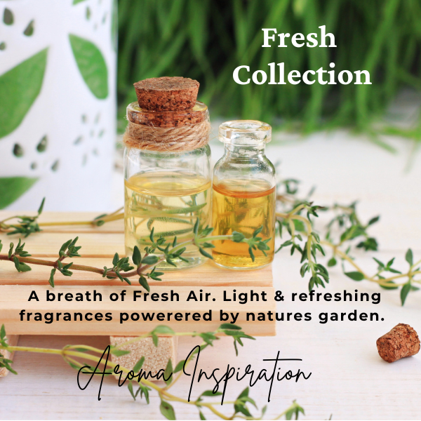 Candle by Scents: Fresh Collection