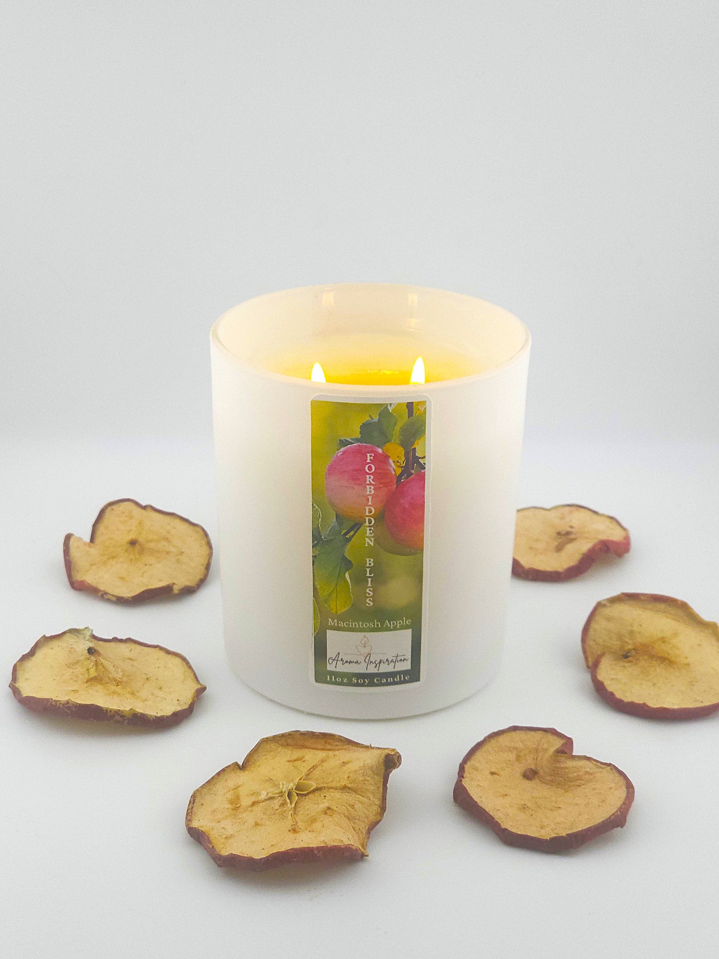 Forbidden Bliss 11 0z Jar (Signature Scent)