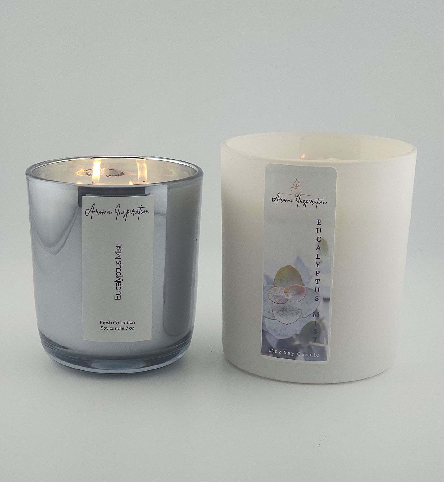 Eucalyptus Mist 11 0z jar