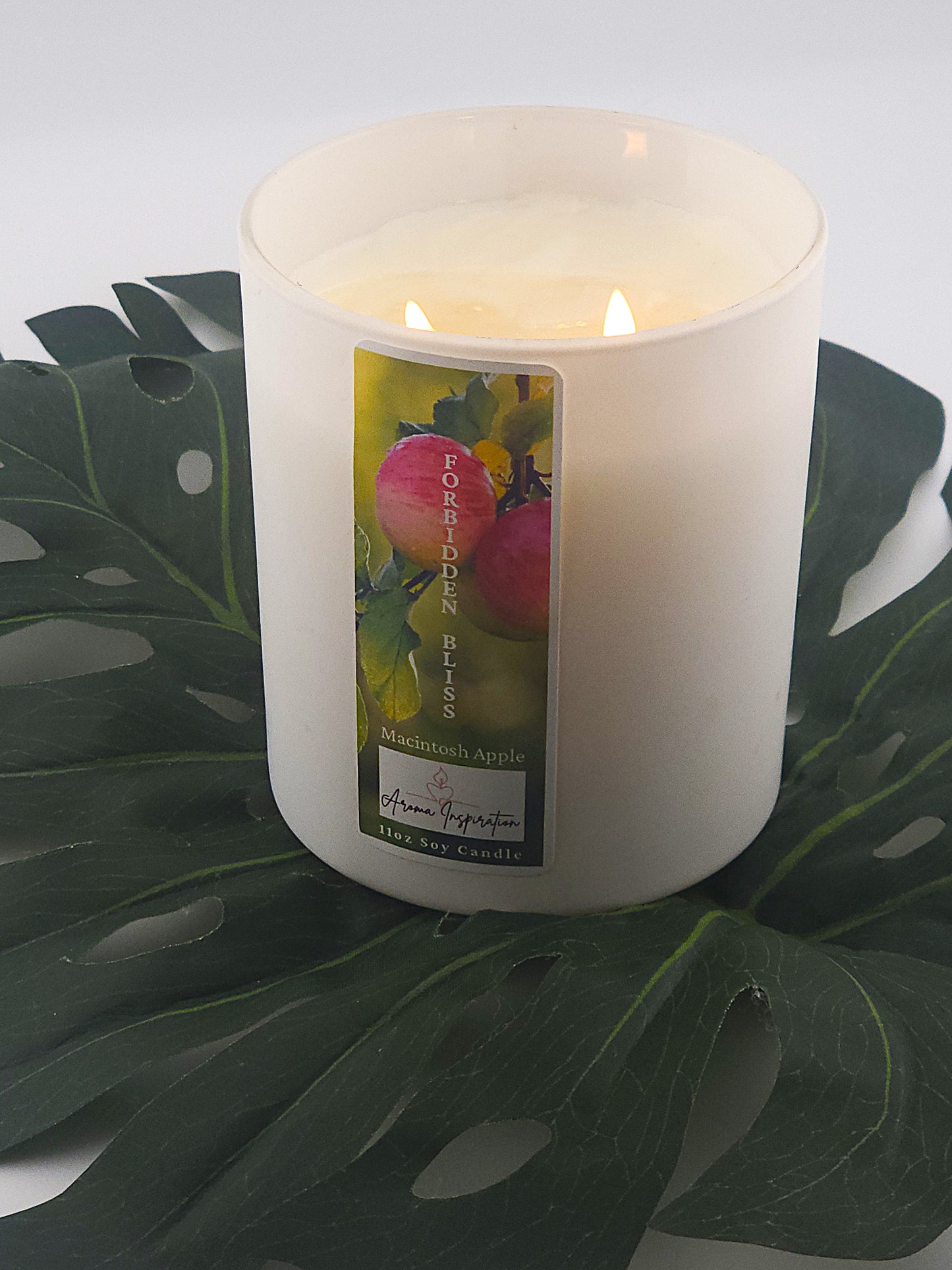 Forbidden Bliss 11 0z Jar (Signature Scent)