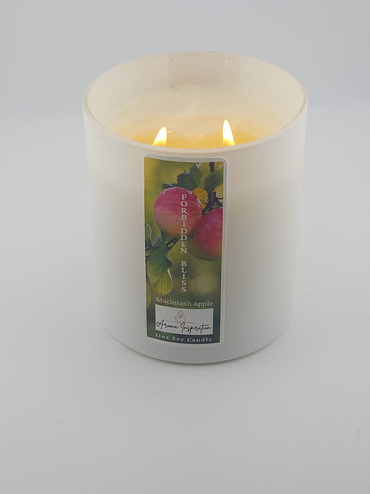 Forbidden Bliss 11 0z Jar (Signature Scent)
