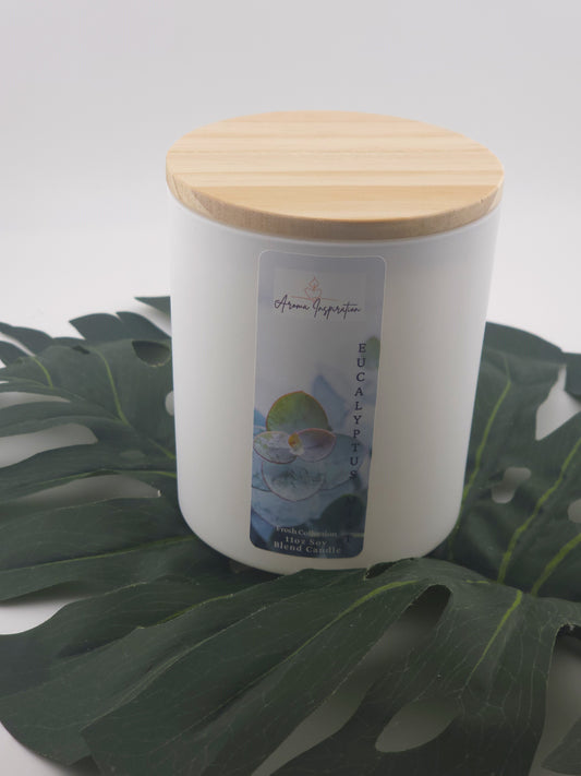 Eucalyptus Mist 11 0z jar