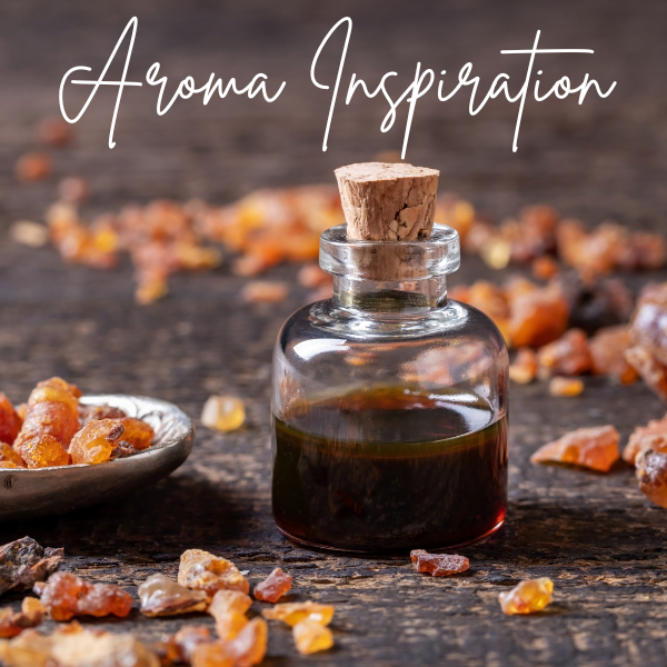 Amber Luxe 11 0z jar (Signature Scent)