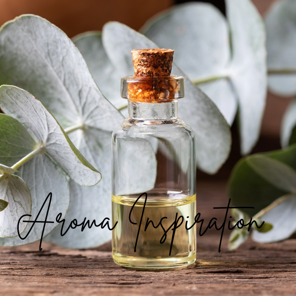 Eucalyptus Mist 11 0z jar