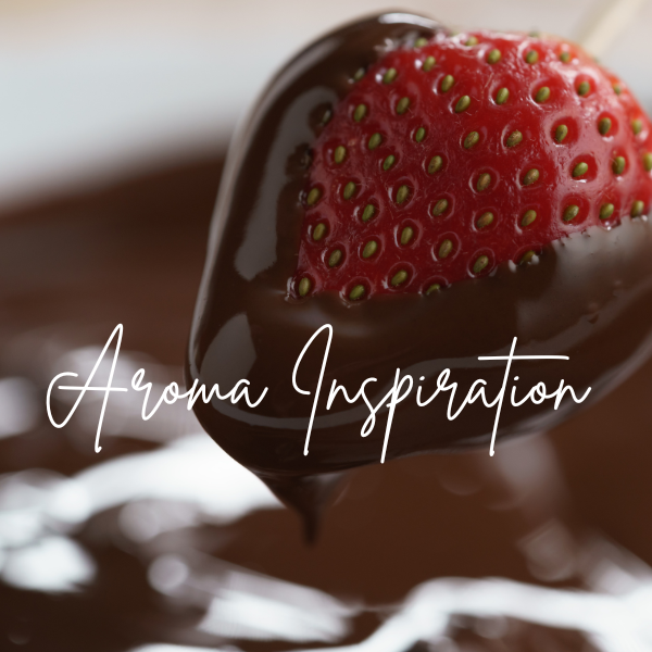 Chocolate strawberry Seduction 11 oz